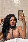 Brescia Trans Escort Miele 328 42 56 421 foto selfie 36