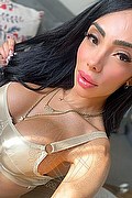 Como Trans Escort Pamelita 331 15 07 952 foto selfie 18