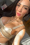 Como Trans Escort Pamelita 331 15 07 952 foto selfie 16