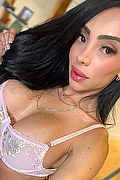 Como Trans Escort Pamelita 331 15 07 952 foto selfie 13