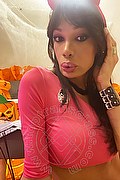 Verona Trans Marcella Pops 351 29 33 730 foto selfie 19
