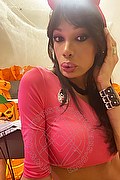 Verona Trans Escort Marcella Pops 351 29 33 730 foto selfie 19