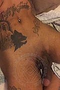 Recife Trans Escort Sabry  005581995397865 foto selfie 65