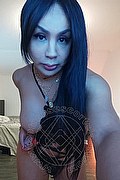 Bologna Trans Escort Brenda Only 380 59 31 784 foto selfie 8