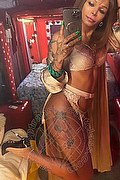 Empoli Trans Escort Katerine Ferreira 333 46 10 654 foto selfie 11