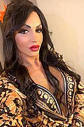 Milano Trans Escort Pamela Dion 347 95 99 841 foto selfie 15