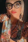 Treviso Trans Valeria 338 87 18 849 foto selfie 53