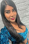 Bologna Trans Escort Manuela Padovany 389 53 68 002 foto selfie 15