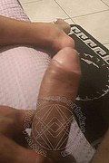 Torino Trans Escort Fanyil 320 84 47 038 foto selfie 8