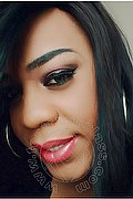 Lodi Trans Dryka 371 19 43 155 foto selfie 7