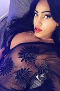 Lodi Trans Dryka 371 19 43 155 foto selfie 4
