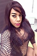 Lodi Trans Dryka 371 19 43 155 foto selfie 3