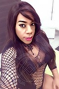 Lodi Trans Escort Dryka 371 19 43 155 foto selfie 3