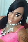Lodi Trans Escort Dryka 371 19 43 155 foto selfie 5