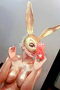 Sassari Trans Escort Gabiella Amazzonia 371 33 34 883 foto selfie 142