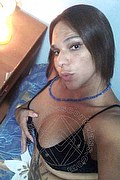 Livorno Trans Escort Giuliana Fragolina 329 08 21 228 foto selfie 31