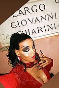 Cosenza Trans Escort Angelica 329 97 11 770 foto selfie 8