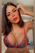 Bergamo Trans Escort Aura Versace 388 30 71 207 foto selfie 1