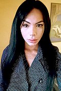 Bari Trans Kelly Melo Pornostar 350 91 74 317 foto selfie 17