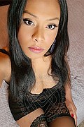 Ferrara Trans Escort Clarissa Ribeiro 380 26 62 801 foto selfie 1