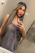 Viareggio Trans Escort Dafne Pornostar 380 14 22 205 foto selfie 26