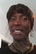Malnate Trans Serena Xl 349 45 25 094 foto selfie 2