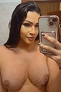 Gallarate Trans Paulinha Ferraz 320 88 26 069 foto selfie 3