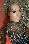 Marina Di Carrara Trans Giada Xxl 350 99 20 377 foto selfie 27