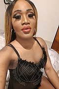 Marina Di Carrara Trans Escort Giada Xxl 350 99 20 377 foto selfie 27