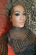 Marina Di Carrara Trans Escort Giada Xxl 350 99 20 377 foto selfie 16