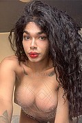 Novara Trans Miele 328 42 56 421 foto selfie 39