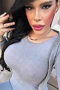 Bologna Trans Gabriella Gandini 371 48 18 868 foto selfie 4