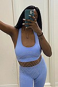 Firenze Trans Escort Bruna Ferragni 338 59 31 655 foto selfie 55