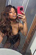 Caserta Trans Tazia Duran 371 19 59 033 foto selfie 3