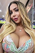 Rimini Trans Escort Barbie Angel 389 92 36 667 foto selfie 2