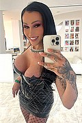 Torino Trans Escort Juliana Lamborghini 320 26 23 319 foto selfie 17