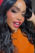 Milano Trans Ariel Collins 391 49 94 197 foto selfie 5