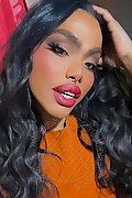 Genova Trans Escort Ariel Collins 376 26 87 589 foto selfie 25
