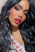 Genova Trans Escort Ariel Collins 376 26 87 589 foto selfie 24