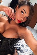 Rho Trans Escort Nicole Moraes 388 75 17 090 foto selfie 3