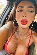 Gallarate Trans Thayys Castro 329 72 89 046 foto selfie 13