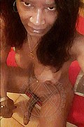 Garbagnate Milanese Trans Escort Alves 371 49 36 409 foto selfie 61