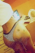 Garbagnate Milanese Trans Escort Alves 371 49 36 409 foto selfie 12