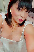 Vanzago Trans Escort Mirandha 349 56 78 867 foto selfie 5