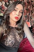 Noventa Di Piave Trans Chanelle 342 00 16 967 foto selfie 7