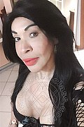 Prato Trans Taina Oliveira 328 53 82 487 foto selfie 23
