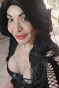 Prato Trans Taina Oliveira 328 53 82 487 foto selfie 11