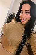 Milano Trans Escort Angel Luna 333 14 05 005 foto selfie 12