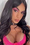 Martinsicuro Trans Venus Dior 350 91 74 317 foto selfie 1