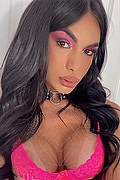 Milano Trans Escort Kelly Melo Pornostar 350 91 74 317 foto selfie 14